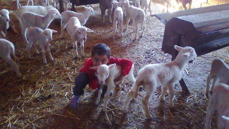 Sadece Balıkesir'de Büyüyen Nesil Anlıyor!