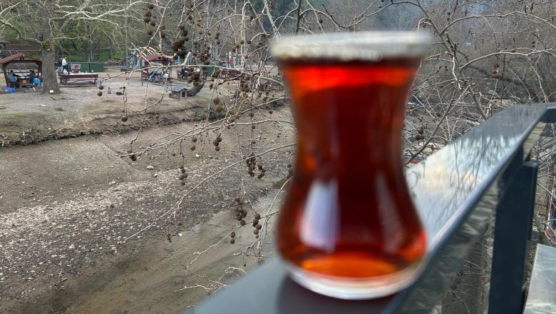 En İyi Çay Nasıl Demlenir?