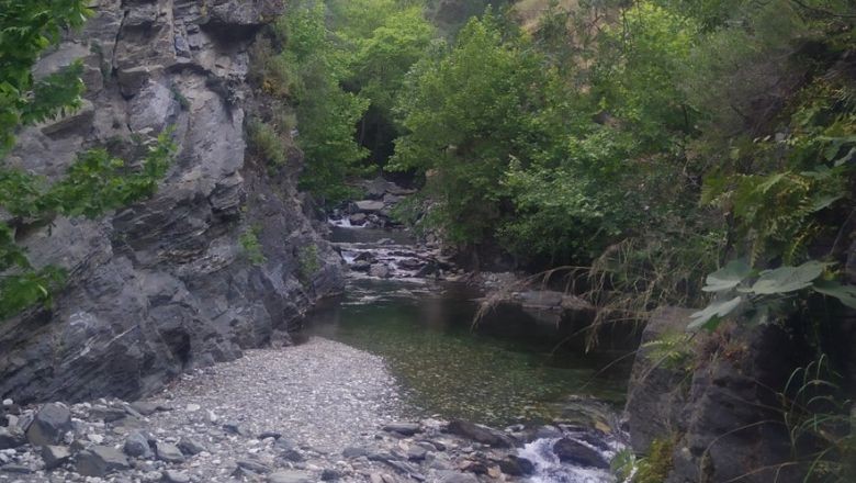 Balıkesir'in Bu Kanyonu Şifalı Bitkilerle Dolu