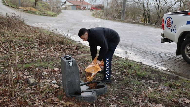 Balya Belediyesi Sokak Hayvanlarına Umut Oldu