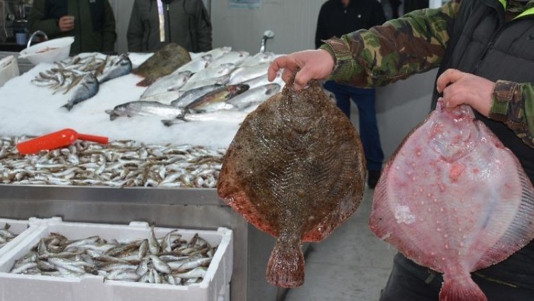 Şubat Ayının En İyi Balığı Kalkan