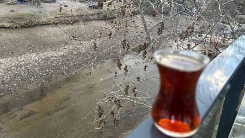 En İyi Çay Nasıl Demlenir?