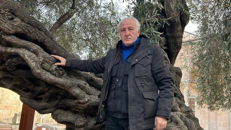 Bin 357 Yıldır Meyve Veren Tek Ağaç Türkiye’de