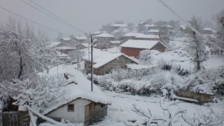 Kepsutlular Karın Keyfini Böyle Çıkarıyor