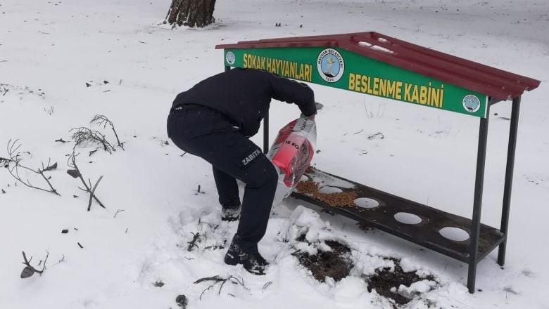Havran Belediyesi Sokak Hayvanlarına El Uzattı