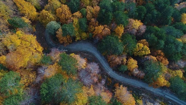 Balıkesir'in Mart Ayında Burçların Enerjisi Nasıl Olacak?