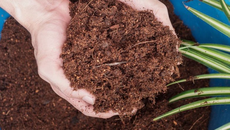Balıkesir’de Cocopeat Kullanımı Artıyor