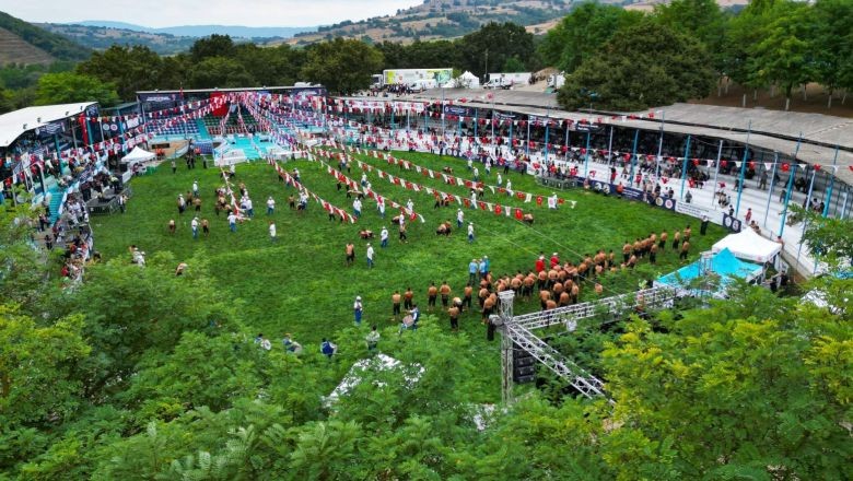 Kurtdereli Güreşleri Hakkında Önemli Bilgiler