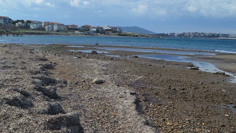 Balıkesir Kıyılarında Deniz Çekilmesi Gözlendi Balıkesir Kıyılarında Deniz Çekilmesi Gözlendi