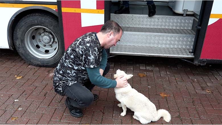 Büyükşehirden Sokak Köpeklerine Ücretsiz Bakım Büyükşehirden Sokak Köpeklerine Ücretsiz Bakım