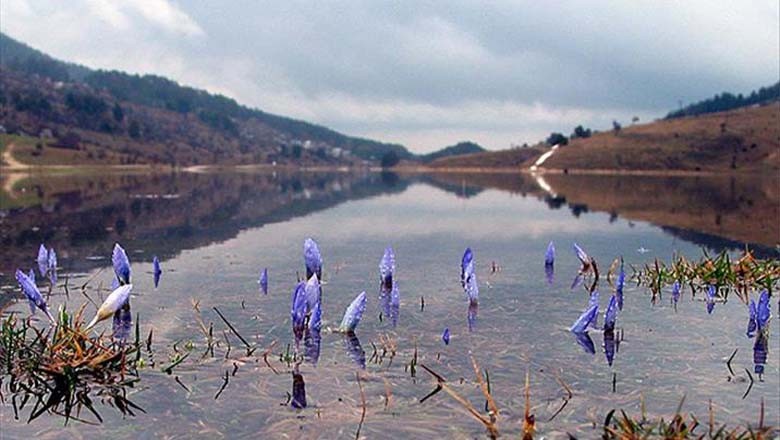 Cemreler Düşmeye Başladı