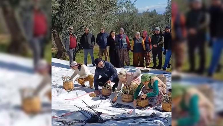 Kahyayı Ağaca Bağladılar, Bahşiş Almadan Bırakmadılar Kahyayı Ağaca Bağladılar, Bahşiş Almadan Bırakmadılar