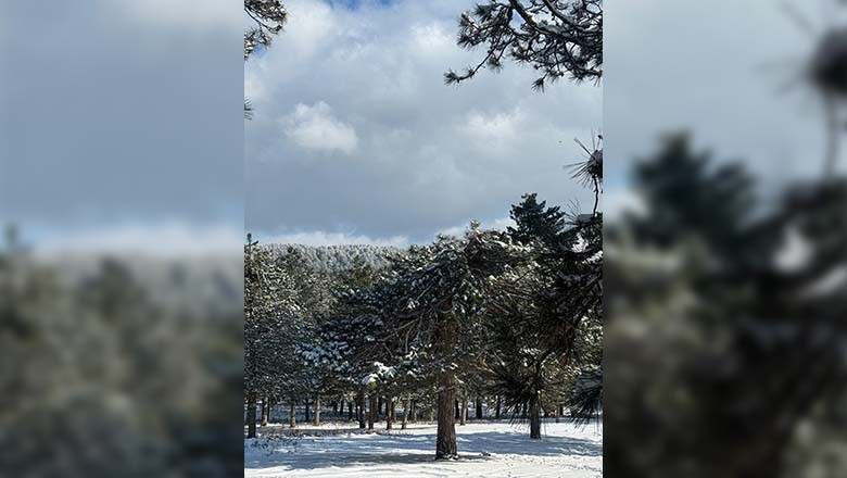 Kaz Dağları'nda Kartpostallık Görüntüler Kaz Dağları'nda Kartpostallık Görüntüler