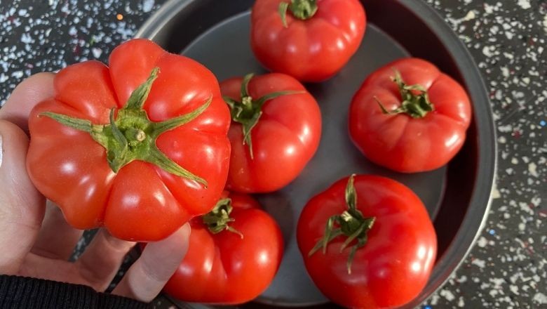 Balıkesir’in Yöresel Domates Çeşitleri