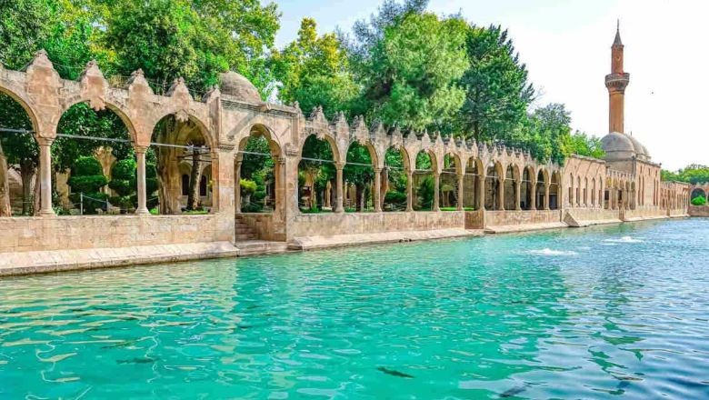 Şanlıurfa İlinin Kaç İlçesi Var ve En Büyük İlçeleri Hangileri?