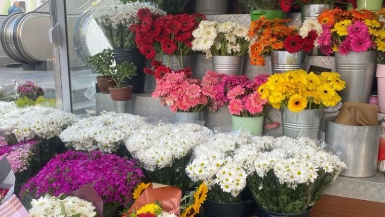 Balıkesir'de Mart Ayı Çiçekleri