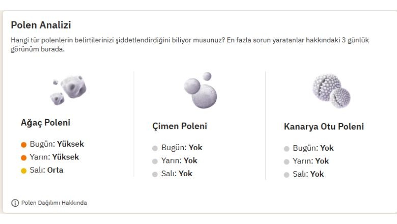 Alerjisi Olanlar Dikkat! Balıkesir’de Ağaç Poleni Zirvede