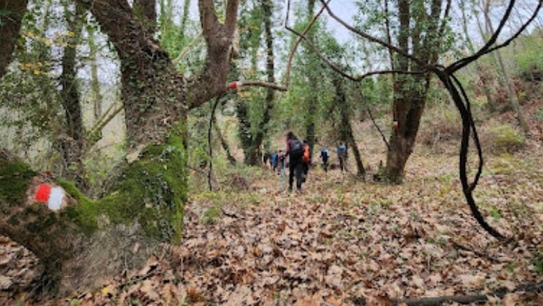 Balıkesir’de Eşsiz Bir Hiking Deneyimi