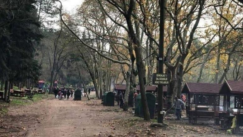 Baharın Taze Havası Değirmen Boğazı'nda