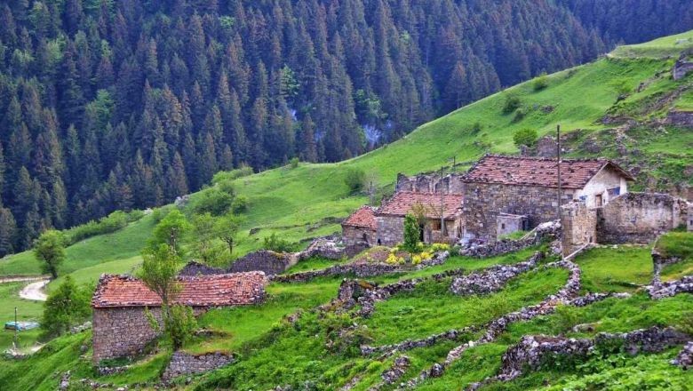 Gümüşhane İlinin Kaç İlçesi Var ve En Büyük İlçeleri Hangileri?