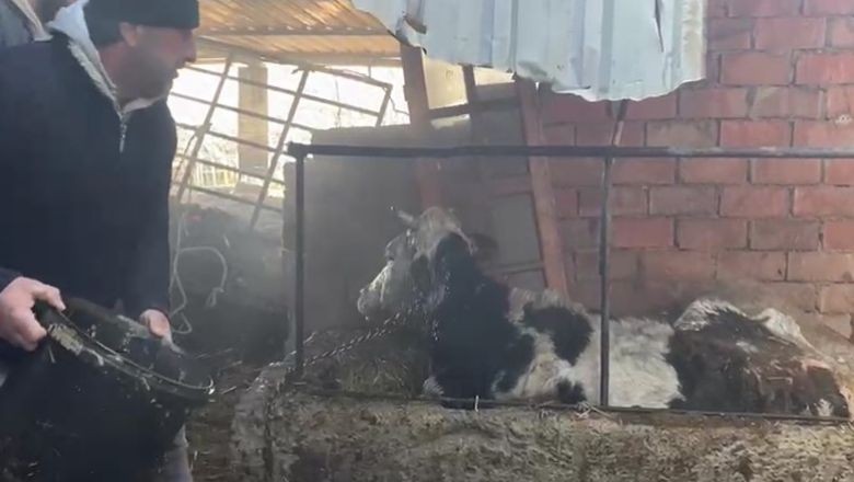 Balıkesir'de Alevler Ahırı Sardı!