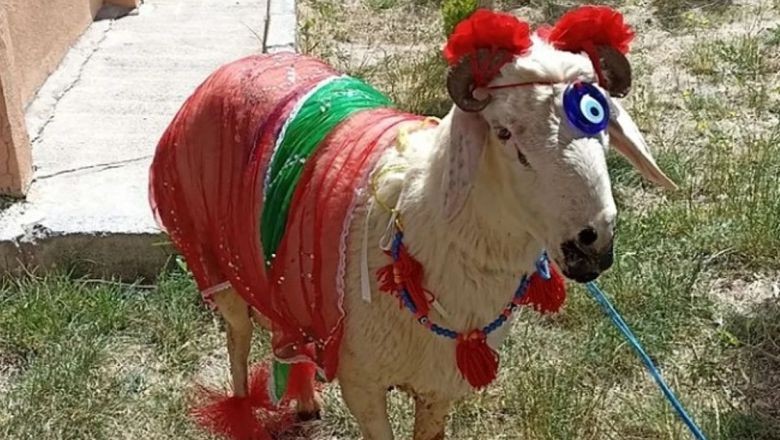 Balıkesir'de Kına Ne Zaman ve Neden Yakılır?