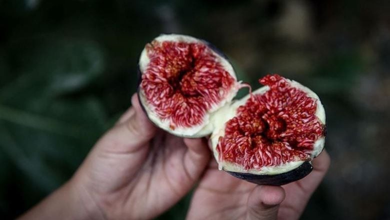 Her Yiyeceğin Mitolojide Bir Anlamı Var!
