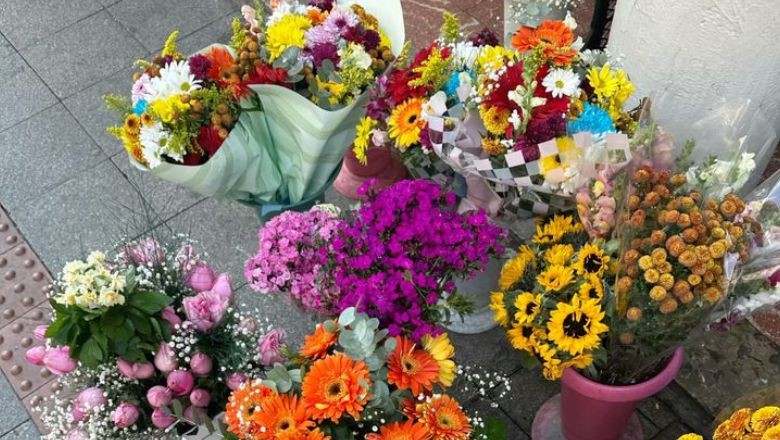 Balıkesir'de Mart Ayı Çiçekleri