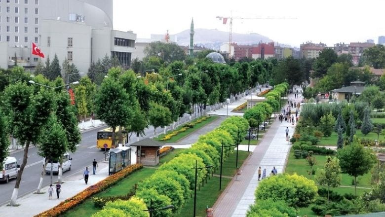 Malatya İlinin Kaç İlçesi Var ve En Büyük İlçeleri Hangileri?