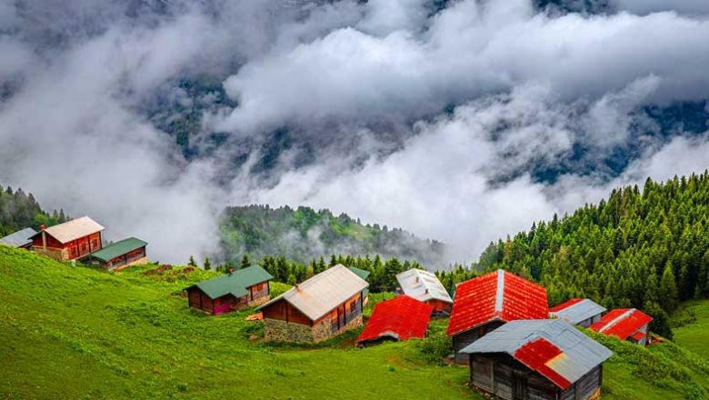 Rize İlinin Kaç İlçesi Var ve En Büyük İlçeleri Hangileri?