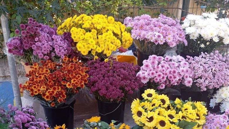 Balıkesir'de Mart Ayı Çiçekleri