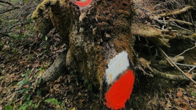 Balıkesir’de Eşsiz Bir Hiking Deneyimi