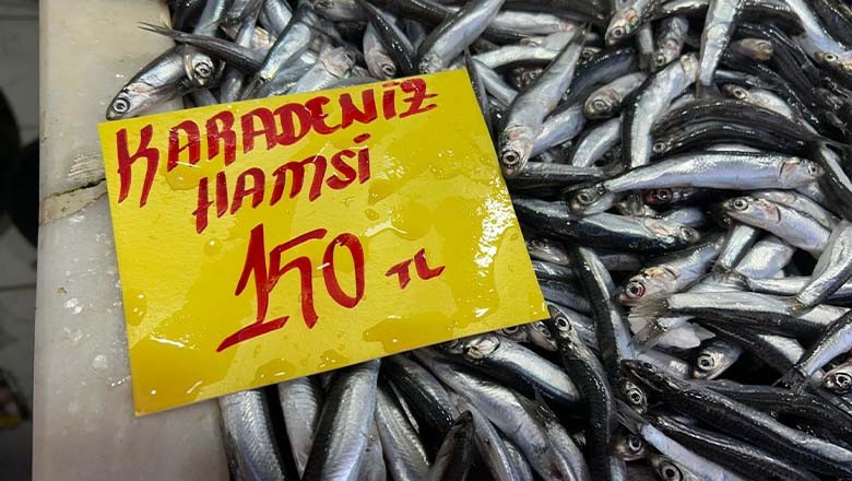 Altıeylül Balıkçısı Yıldız: "Hamsi Bolluğu Devam Ediyor" Altıeylül Balıkçısı Yıldız: "Hamsi Bolluğu Devam Ediyor"