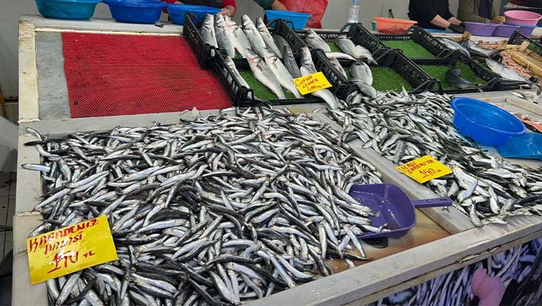 Balıkesir’de Balık Fiyatlarında Düşüş Yaşandı Balıkesir’de Balık Fiyatlarında Düşüş Yaşandı