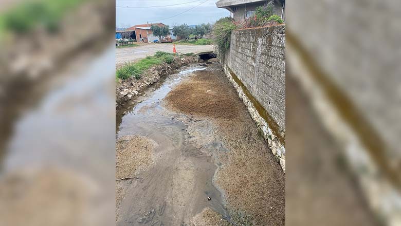 Balıkesir'de Hayvansal Atıklar Mahalleyi Zehirliyor! Balıkesir'de Hayvansal Atıklar Mahalleyi Zehirliyor!