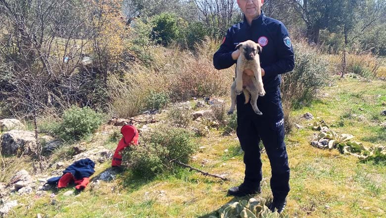Çukura Düşen Köpek Yavrusunu İtfaiye Kurtardı Çukura Düşen Köpek Yavrusunu İtfaiye Kurtardı
