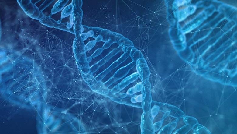 DNA: İnsanlığın En Küçük Bilgisi DNA: İnsanlığın En Küçük Bilgisi