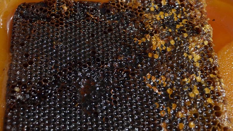 Macit Ermiş’in Gözüyle… Macit Ermiş’in Gözüyle…