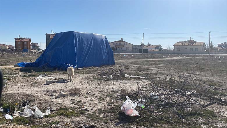 Sokak Köpekleri Saldırısında 2 Yaşındaki Çocuk Hayatını Kaybetti Sokak Köpekleri Saldırısında 2 Yaşındaki Çocuk Hayatını Kaybetti