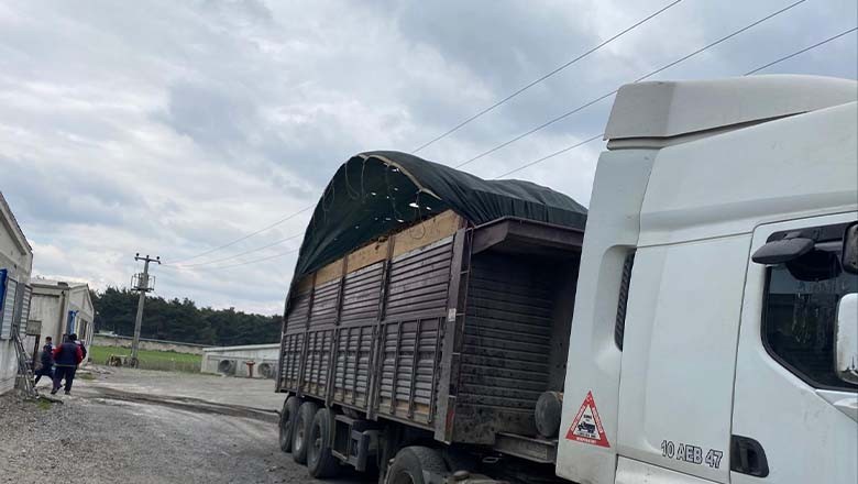 TIR Şoförü Elektrik Akımına Kapılarak Hayatını Kaybetti TIR Şoförü Elektrik Akımına Kapılarak Hayatını Kaybetti