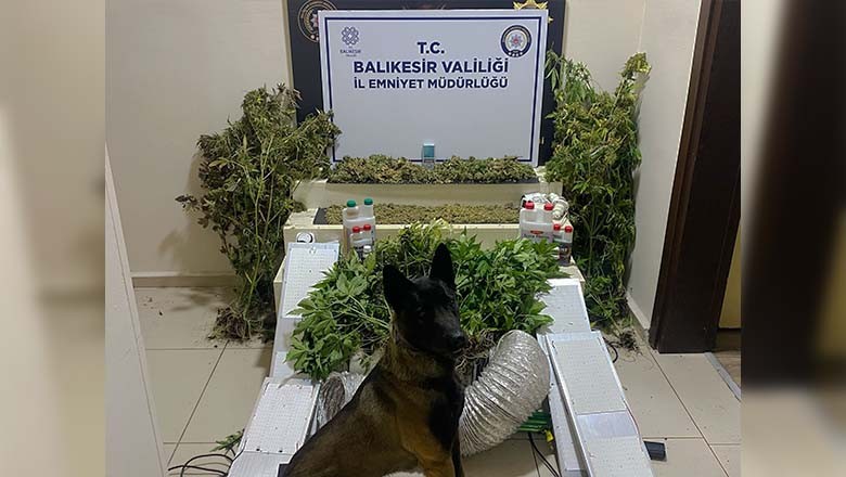 Bandırma'da Narkotik Ekiplerinden Zehir Tacirlerine Darbe Bandırma'da Narkotik Ekiplerinden Zehir Tacirlerine Darbe