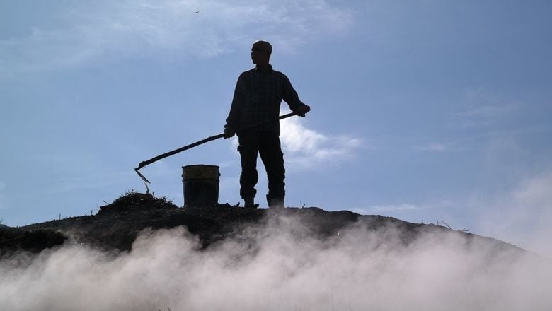 Türkiye'nin Mangal Kömürü Balya’dan