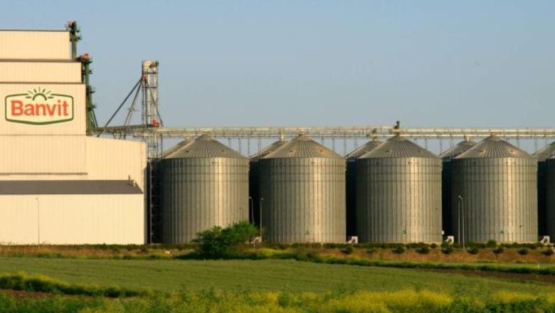 Balıkesir'de Kan Donduran Cinayet Şüphesi!
