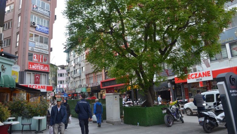 Balıkesir'in Tarihi Tesbih Ağacı