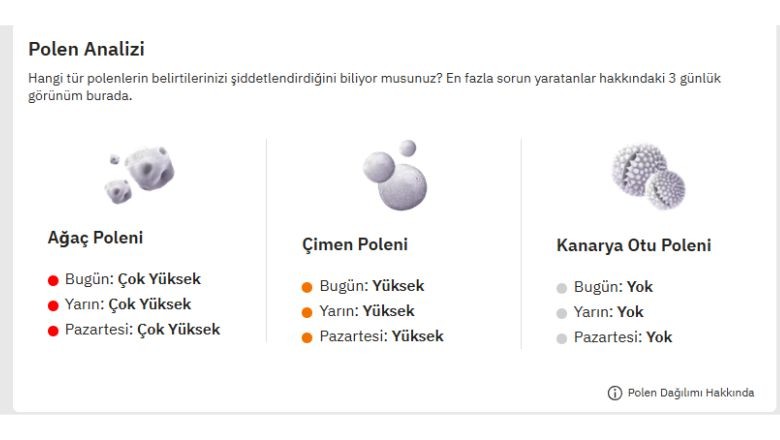 Balıkesir’de Polen Seviyesi Alarm Veriyor
