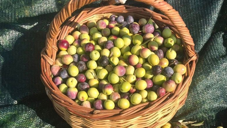 Başkan Diker: 'Marka Olmadan Rekabet Zor'