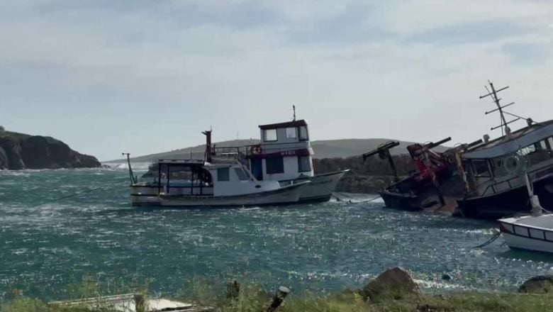 Bandırma’da Fırtına Etkisini Gösterdi