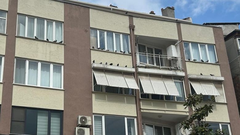 Balıkesir'in Pencere Nöbetçileri