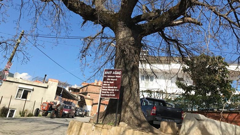 Balıkesir'de Bir Şaman Köyü: Tahtakuşlar