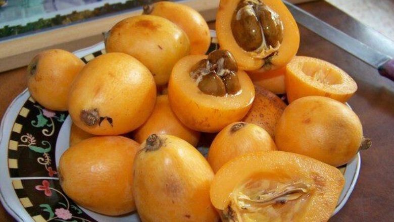 Balıkesir'de Malta Eriğini Tadan Vazgeçemiyor